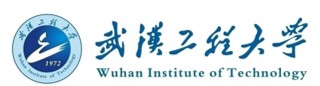 武汉工程大学