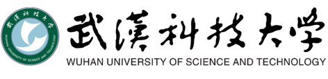 武汉科技大学